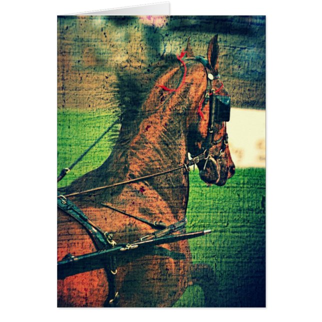 Saddlebred in Harness (Vorne)