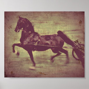 Saddlebred Lied Poster