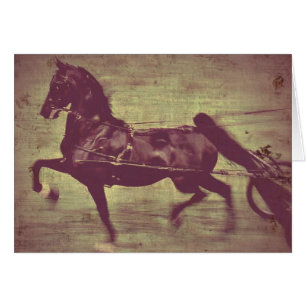 Saddlebred Song
