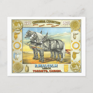 Saddler Centennial-Ausstellungsanzeige Postkarte