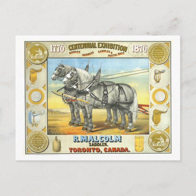 Saddler Centennial Exposition Werbung Postkarte (Vorderseite)