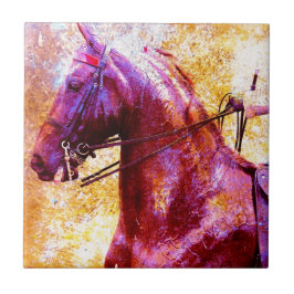 Saddleseat Grunge Fliese