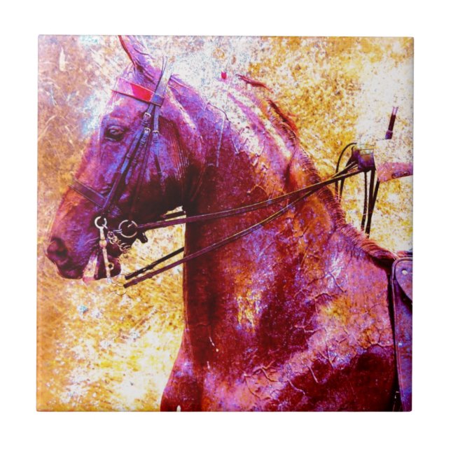 Saddleseat Grunge Fliese (Vorderseite)