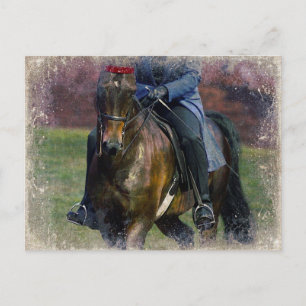 Saddleseat Postkarte