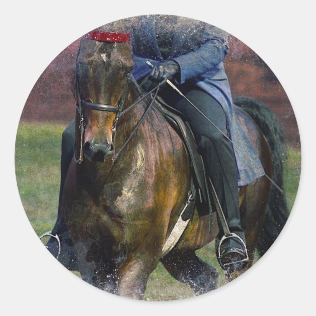 Saddleseat Runder Aufkleber (Vorderseite)