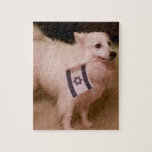 Sadie, der jüdische Hund<br><div class="desc">Sadie trägt stolz die Flagge Israels. Sadie ist ein Markenzeichen von Rachel Brandt,  der Humorus freundlich gelassen hat,  dieses Bild zu verwenden.</div>