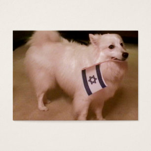 Sadie, der jüdische Hund
