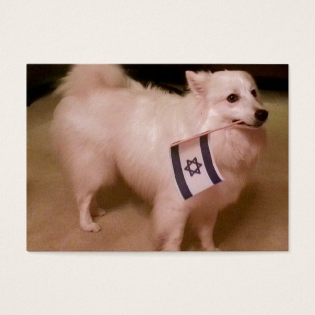 Sadie, der jüdische Hund (Vorderseite)