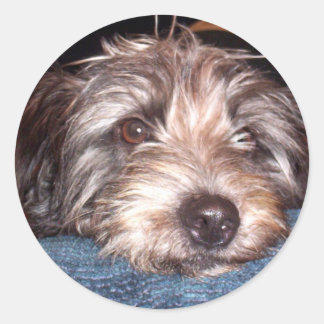 Sadie Runder Aufkleber