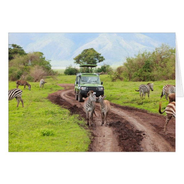 Safari (Vorderseite (Horizontal))