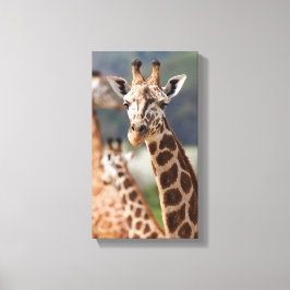 Safari Africa Giraffe Leinwanddruck