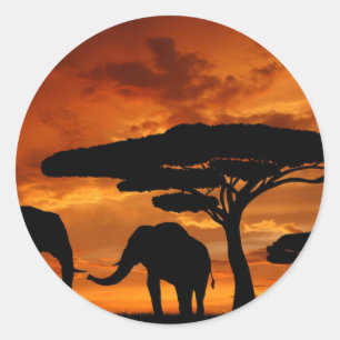 Safari African Baobab Tree Elefant Silhouette Runder Aufkleber
