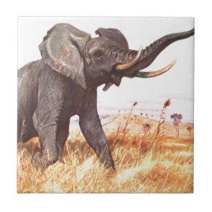 Safari African Jungle Destiny Animals Elephants Fliese