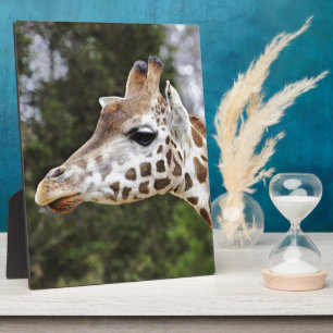 Safari-Afrika-Modchic-noble Schicksals-Giraffe Fotoplatte