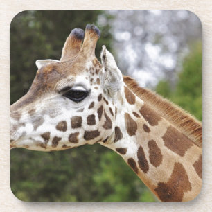 Safari-Afrika-Modchic-noble Schicksals-Giraffe Getränkeuntersetzer