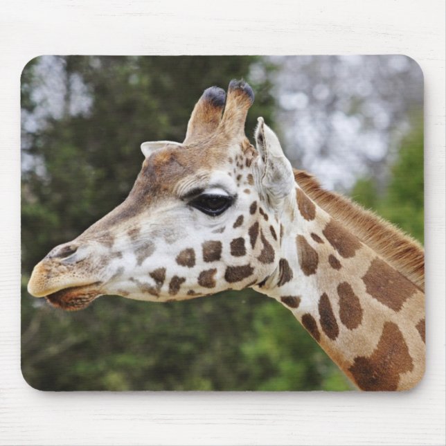 Safari-Afrika-Modchic-noble Schicksals-Giraffe Mousepad (Vorne)