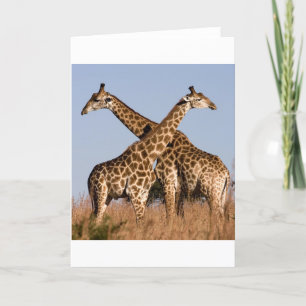 Safari Afrika Modisch Elegant Schicksal Giraffe Karte
