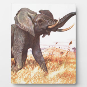 Safari-afrikanische Dschungel-Schicksals-Tier-Elef Fotoplatte