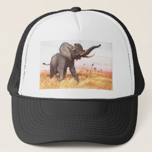 Safari-afrikanische Truckerkappe