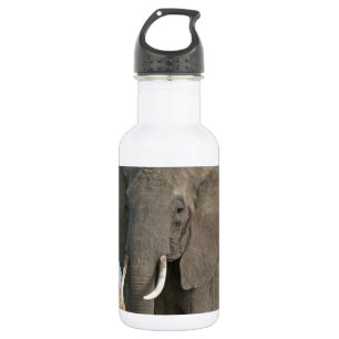 Safari Afrikanischer Dschungel Schicksal Tiere Ele Trinkflasche