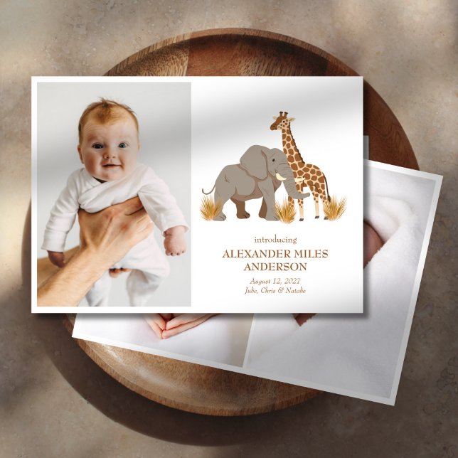 Safari Animals Fotos Neue Kinderankündigung Einladung (Von Creator hochgeladen)
