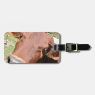 Safari Brown Cow Gepäckanhänger