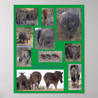 Safari-Bums-Poster Poster
