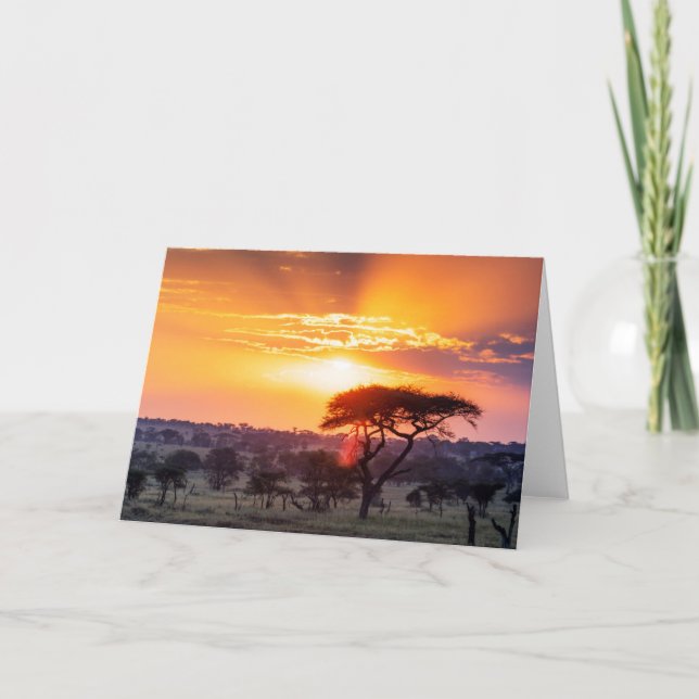 Safari im Serengeti-Nationalpark Karte (Vorderseite)