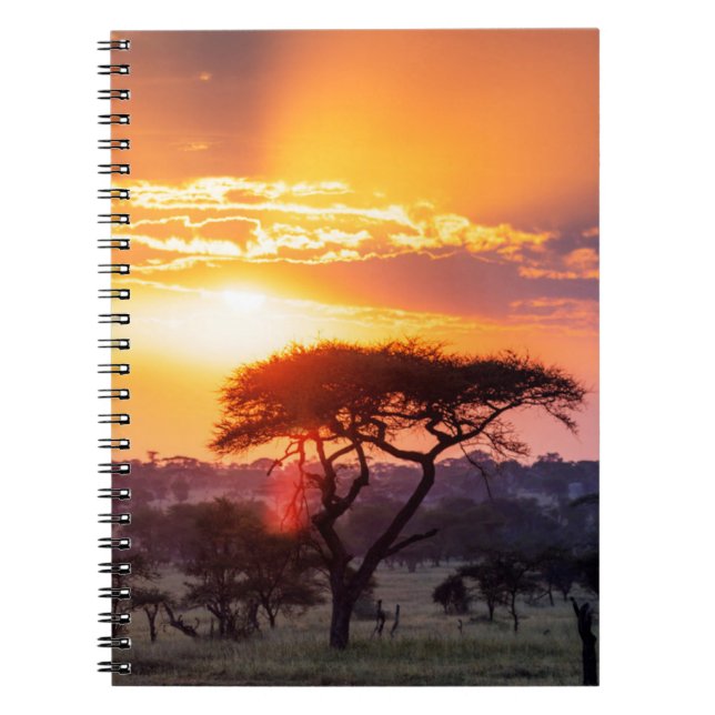 Safari im Serengeti-Nationalpark Notizblock (Vorderseite)
