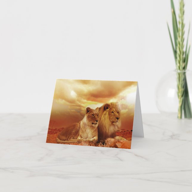Safari Lions Grußkarte Karte (Vorderseite)