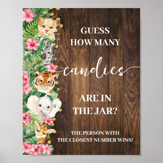 Safari Pink Rustic How many Candies Shower Game Poster (Vorne)