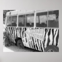 Safari Station Zebra Streifenbus