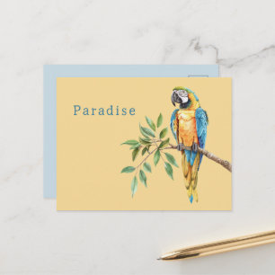 Safari-Tier Vogel Blau Gelb Papagei Postkarte