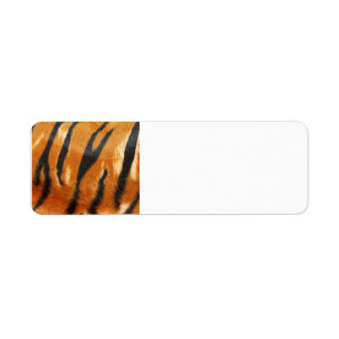 Safari-Tiger-Streifen-Druck