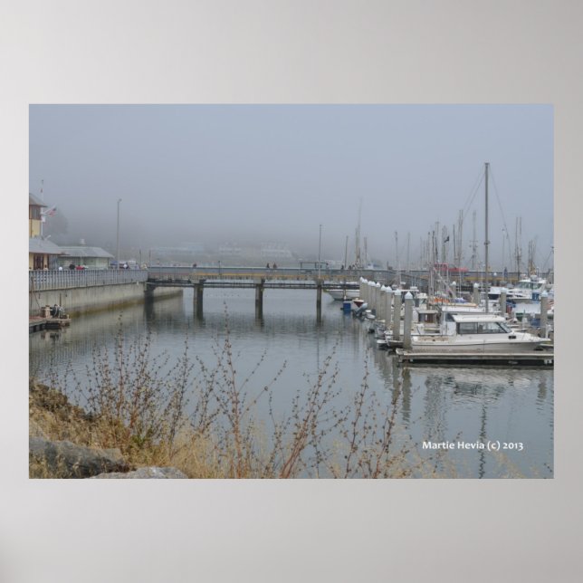 Safe Harbor Poster (Vorne)