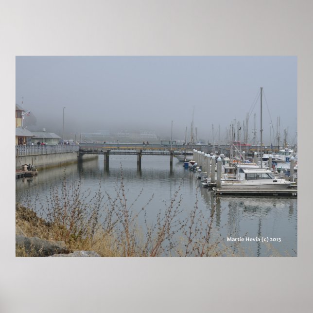 Safe Harbor Poster (Vorne)