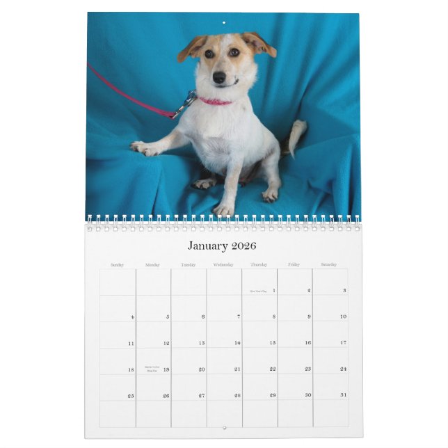 Safe übergibt Kalender 2015 (Jan 2026)