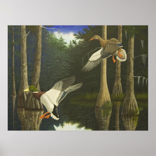 Safely Zuhause Poster (Vorne)