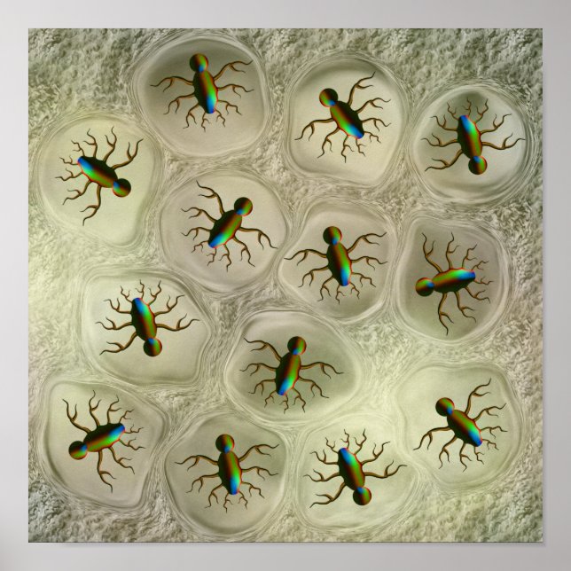 Safety Poster (Vorne)