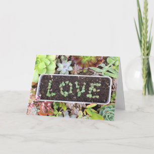 Saftige LIEBE Garten-Gruß-Karte Karte
