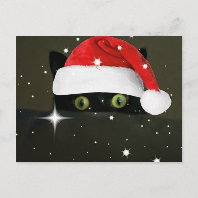 Saftige Lucy-Weihnachtsmannmütze Feiertagspostkarte (Vorderseite)