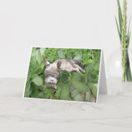 Saftiges Backscratch Karte