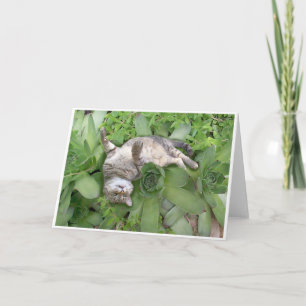 Saftiges Backscratch Karte