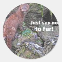 "Sag einfach nein zu fur" Minze