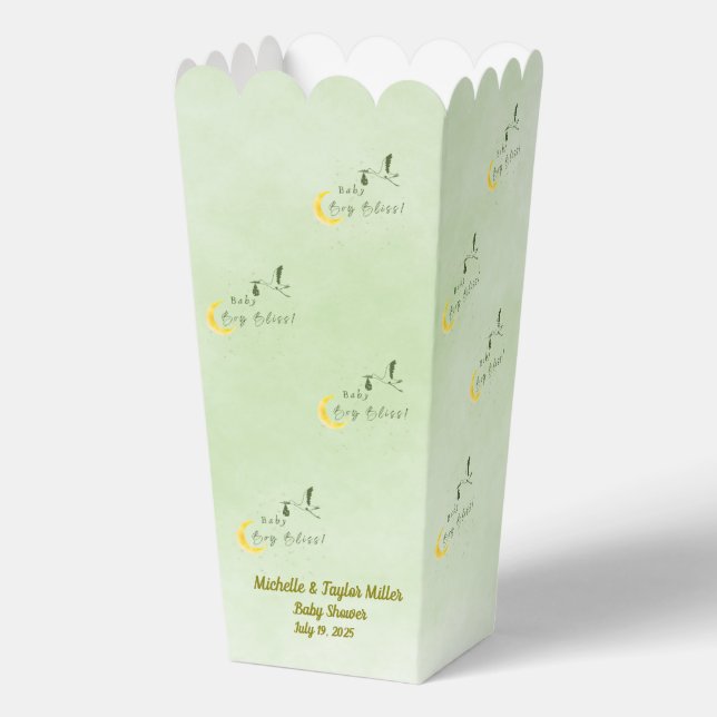 Sage Baby Boy Bliss: Stork Special Delivery Geschenkschachtel (Vorderseite)