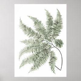 Sage Green Decor Fern Leaf Print No. 5 Poster