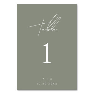 Sage Green Minimalistisch Modern Wedding Table Car Tischnummer