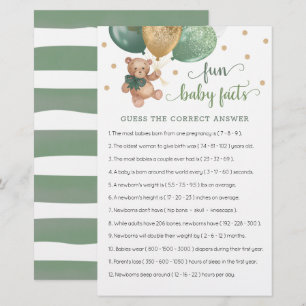 Sage Green Teddy Bear Fun Baby Facts Spiel