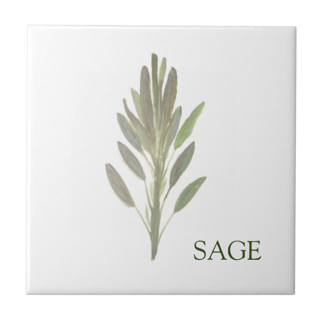 Sage Herb Grüne Küche Kulinarisch Grüne Pflanze Fliese (Vorderseite)
