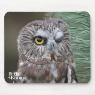 Säge-whet Eule Mousepad